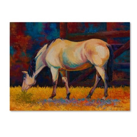 Trademark Fine Art Marion Rose 'Buckskin I' Canvas Art, 24x32 ALI7699-C2432GG
